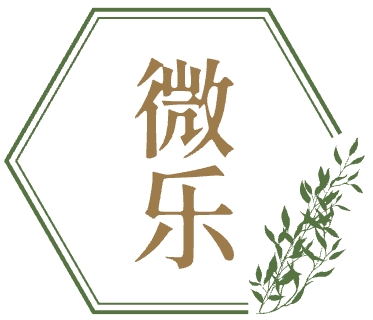 微乐引流